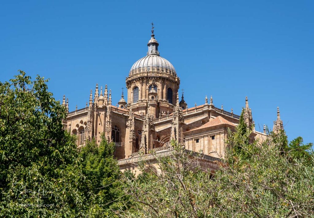 Exterior view of the dome and carvings on the roof of the old Cathedral in Salamanca