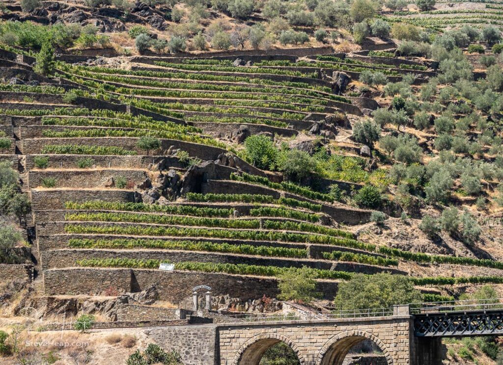 Quinta do Roncao and its terraces of vines and vineyards on the banks of the River Douro at Braganca in Portugal