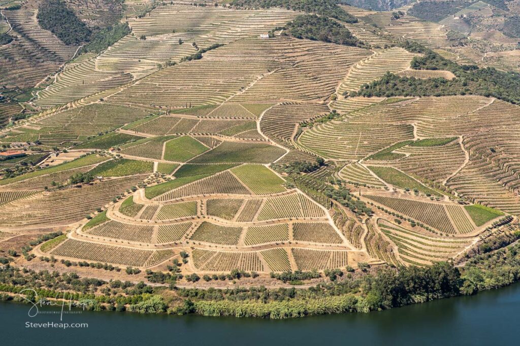 Terraces of grape vines for port wine production line the hillsides of the Douro valley in Portugal