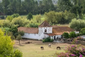 Aveiro and Viseu on the drive through Portugal to Lisbon