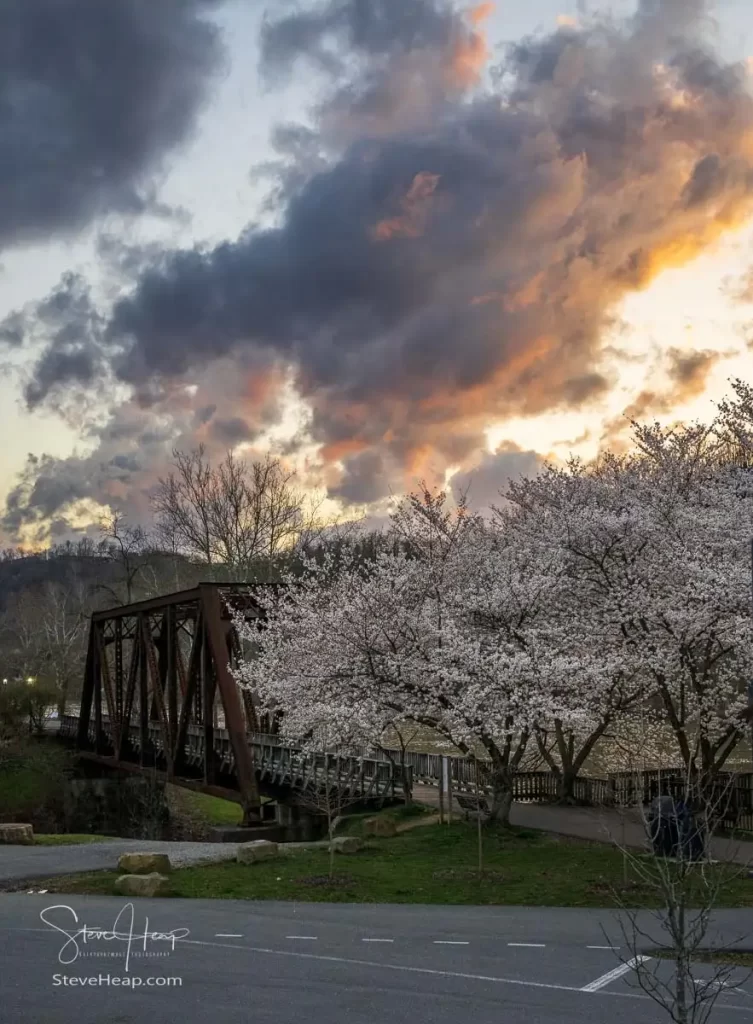 Old steel girder bridge carrying walking and cycling trail in Morgantown WV over Deckers Creek with cherry blossoms blooming in the spring