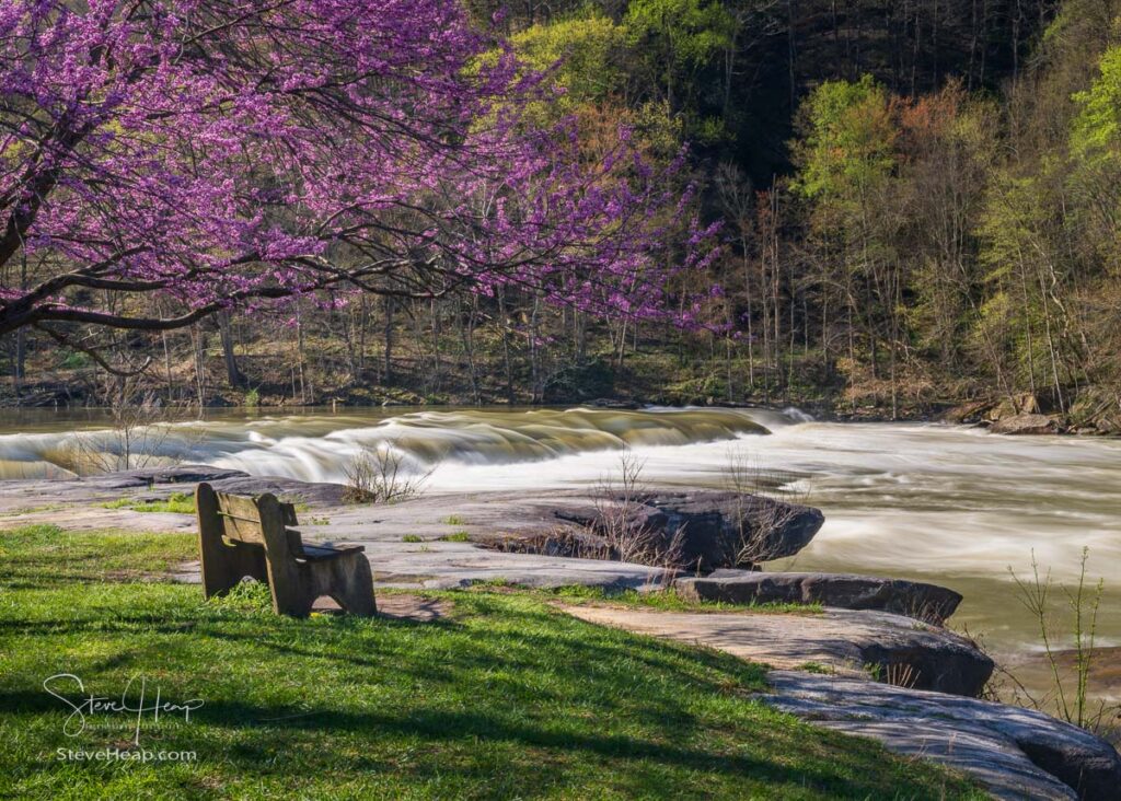Bench overlook of Valley Falls State Park near Fairmont in West Virginia on a colorful and bright spring day with redbud blossoms on the trees
