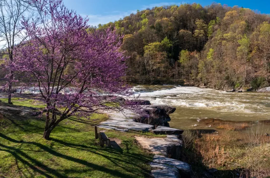 Valley Falls state park in the spring with redbud trees