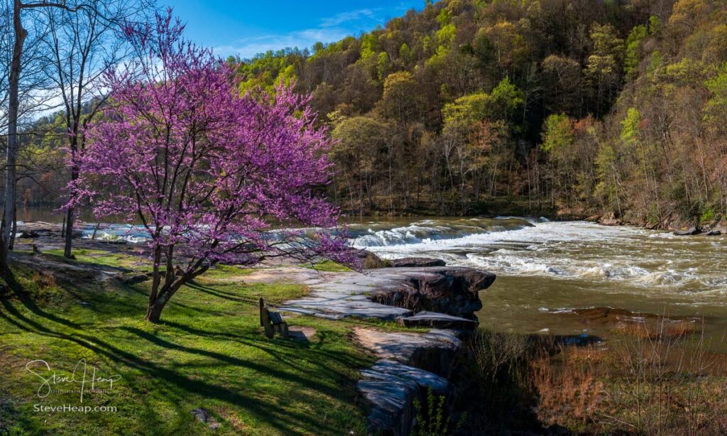 Valley Falls State Park near Fairmont in West Virginia on a colorful and bright spring day with redbud blossoms on the trees. Prints available in my online store