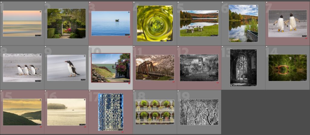 Initial choice of 19 photos that I thought might be suitable for this exhibit 60 competition