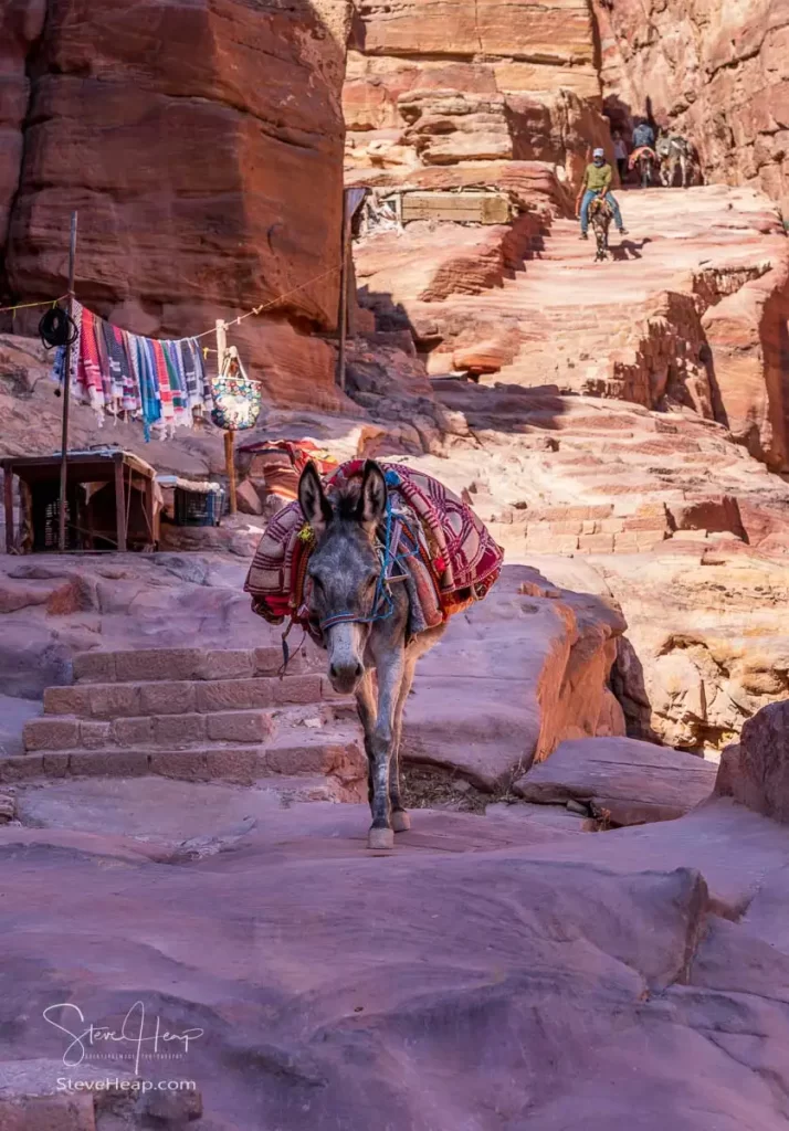 Rider and his donkey on the trail to Ad Deir or the Monastery from Petra which is 1.6km and 800 steps
