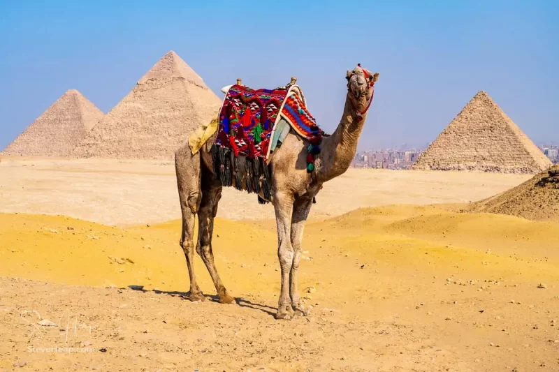 Just one of the fabulous sights you will see on the Pharaohs and Pyramids cruise on the Nile in Egypt