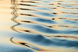 Major sale to an art collector