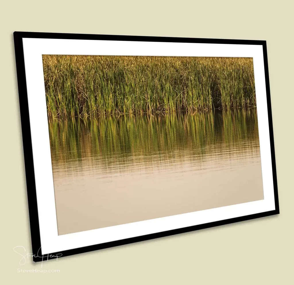Reflections in the calm waters of the Nile River as we cruised by the riverbank provided as a framed print to a high-end financial office in Texas