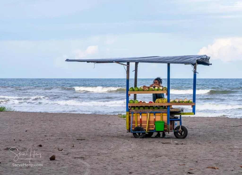 Vendor selling coconut water straight from the fruit on the beach at Tortuguero