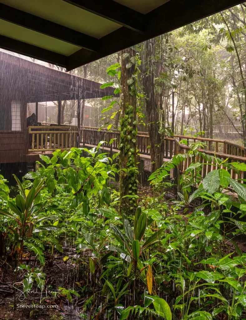 A morning downpour in our resort in the National Park of Tortuguero