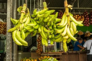 Colorful Costa Rica Adventure – Arenal Volcano