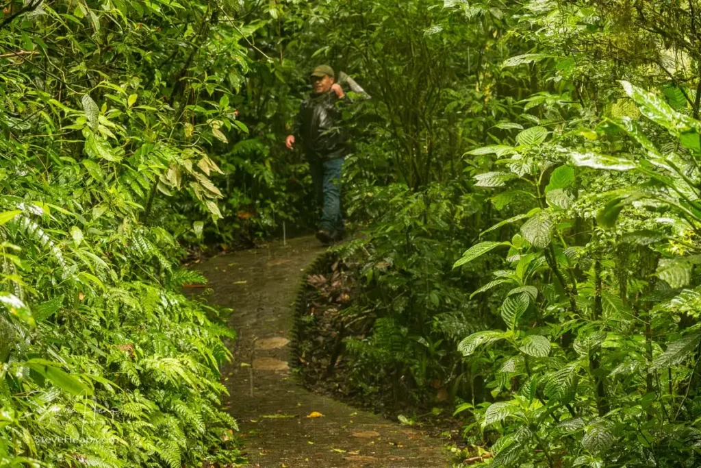 Our guide with his spotting scope on the trail in the Santa Elena cloud forest