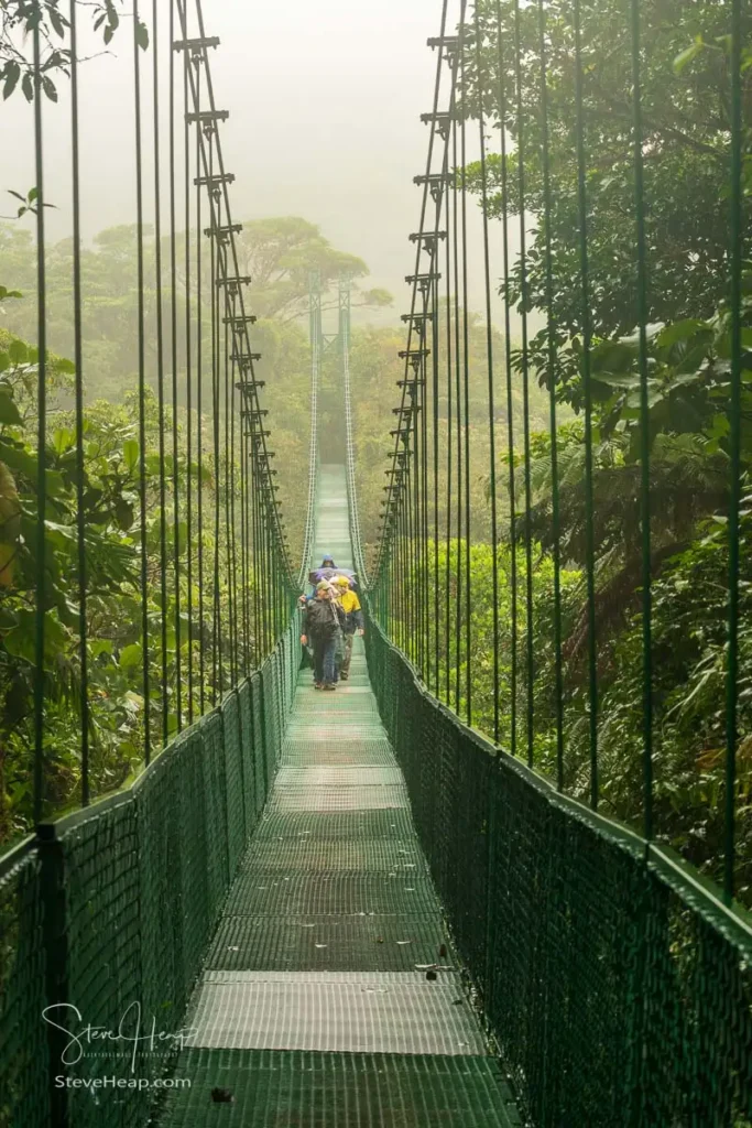 Guide and group crossing a ravine on a hanging bridge