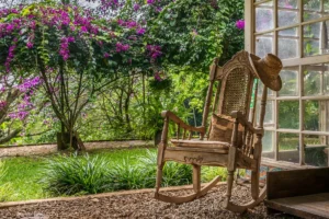 Relatively Colorful Costa Rica Adventure – Return to San Jose