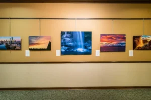 From Pixels to Panels – my first exhibition in Texas