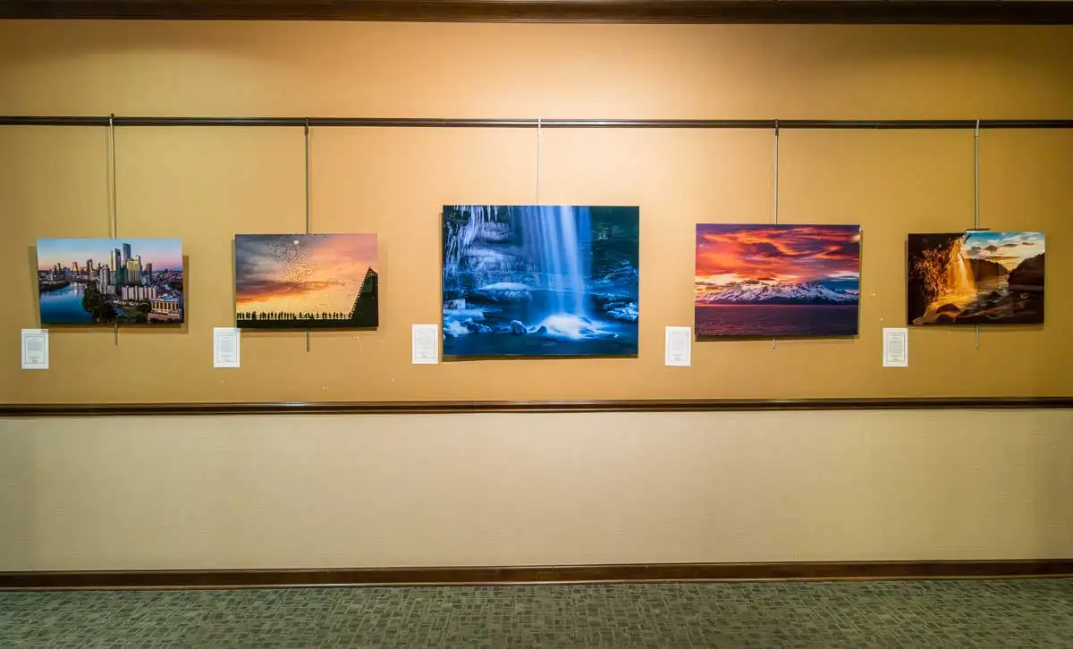 From Pixels to Panels – my first exhibition in Texas