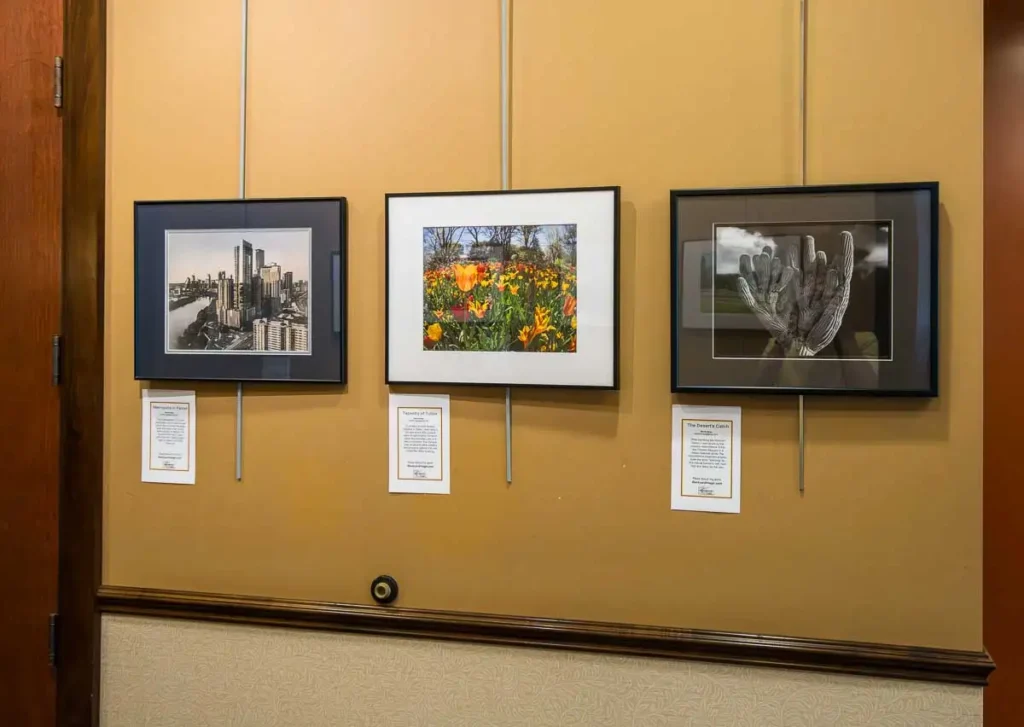 Three16x20 inch framed prints in the exhibit
