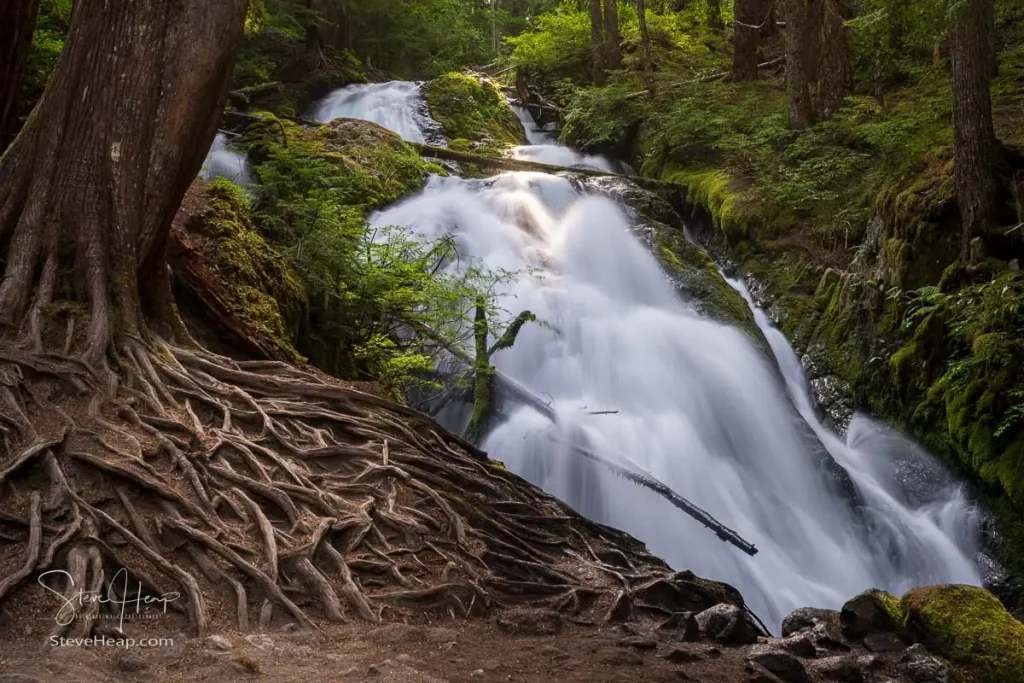 Little Zigzag Falls which is accessed at the end of a short level trail from the parking area on Barlow Road